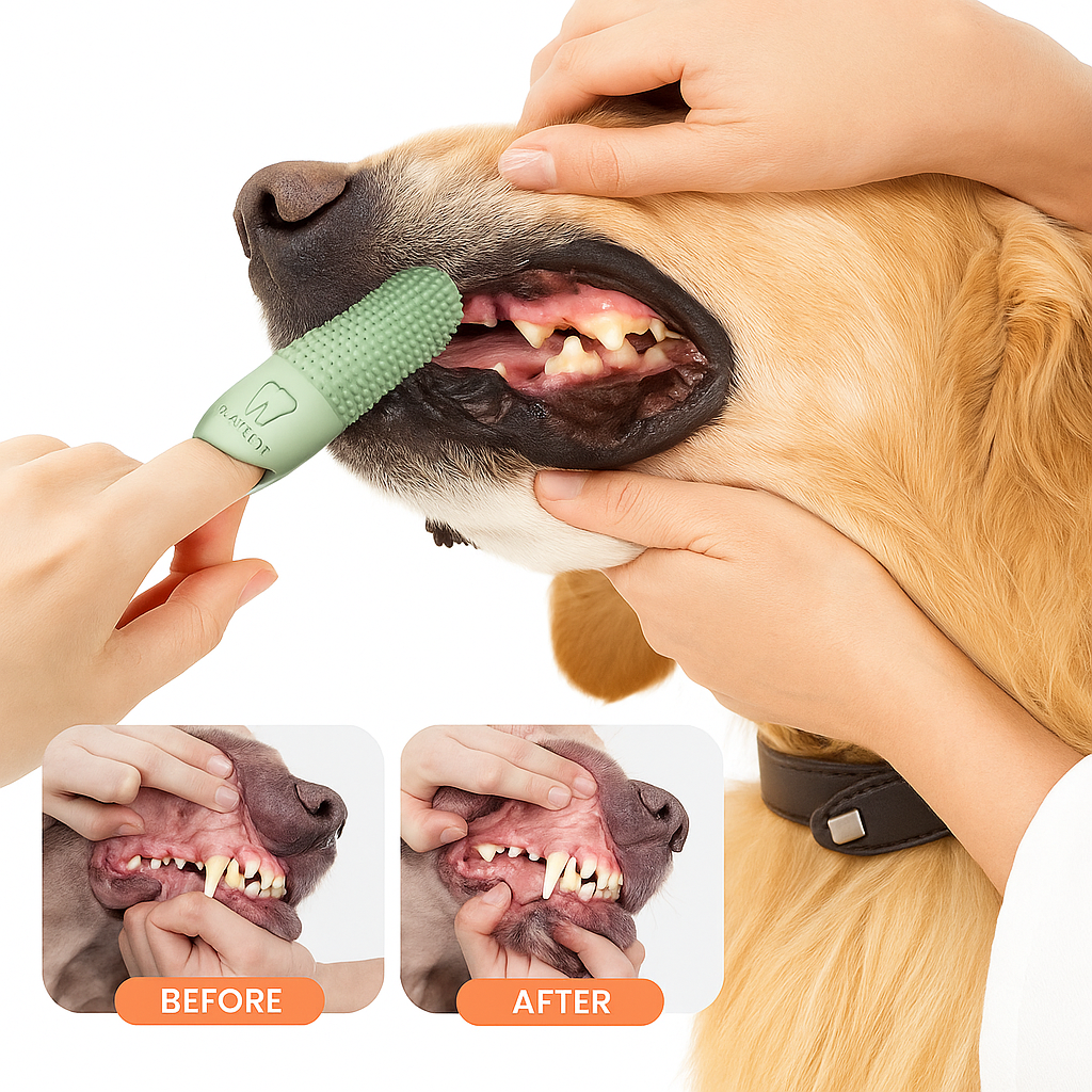 FURGLOW TOOTHBRUSH